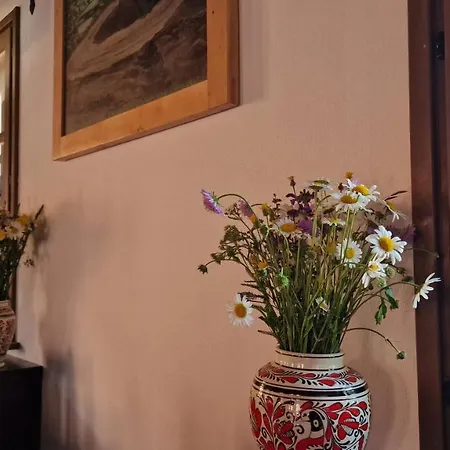 Koertoeves Guest Village Guest house Varghis
